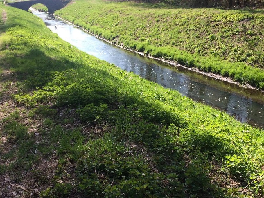 Gyáli-patak tavaszi zöld látványa lenyűgöző. / Fotó: hulladekvadasz.hu