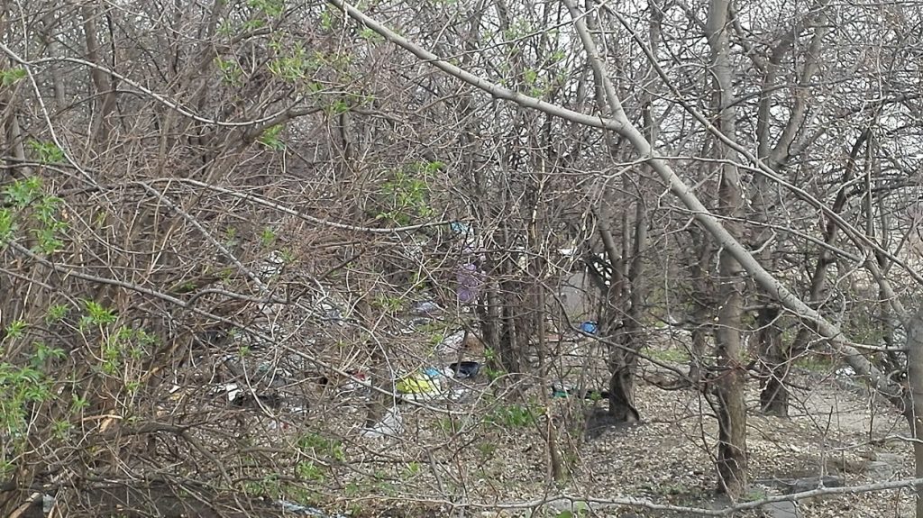 Hajléktalan lakk az erdő mélyén. / Fotó: hulladekvadasz.hu
