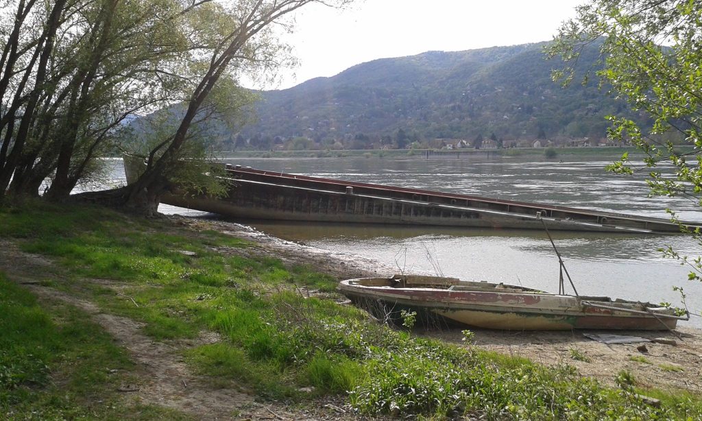 Uszály és csónak roncs Visegrád Dunapartján. / Fotó: hulladekvadasz.hu