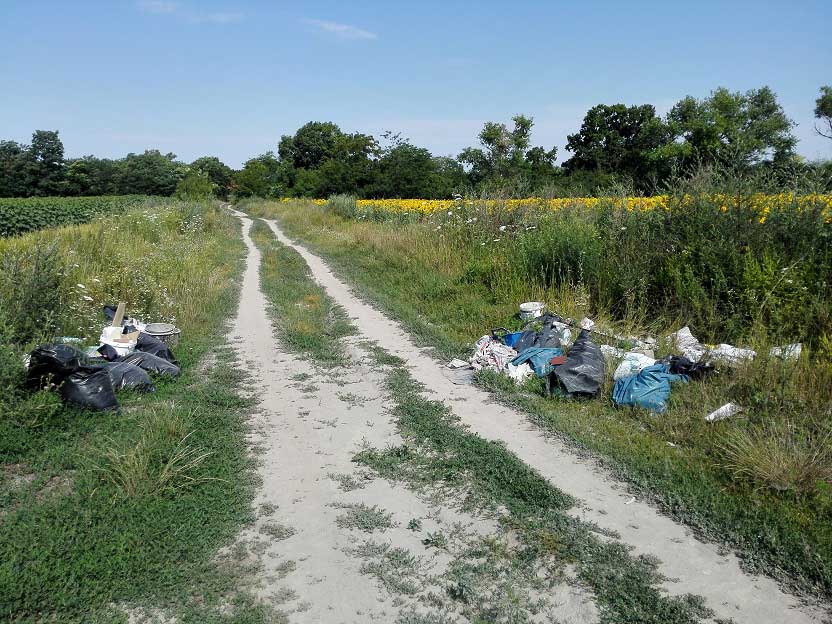 A napraforgótábla mellett lerakott illegális hulladéklerakatok. / Fotó: hulladekvadasz.hu