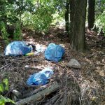 Pálmamajor szomszédságában illegális hulladéklerakatok