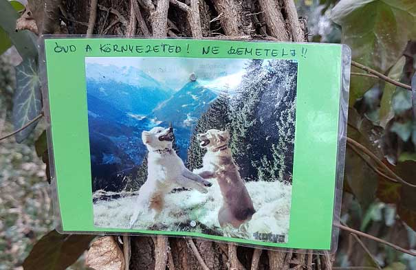 "Óvd a környezeted! Ne szemetelj" - írja a tábla, de vajon ki olvassa el? / Fotó: hulladekvadasz.hu