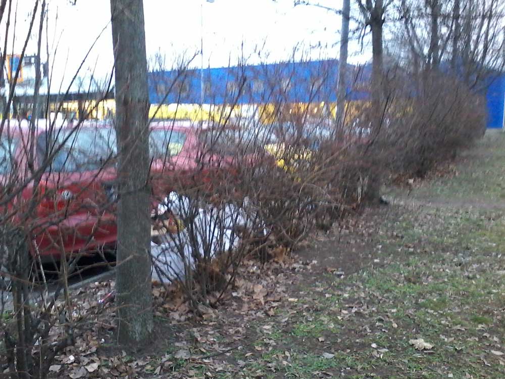 IKEA Árukiadó szemetes parkolója