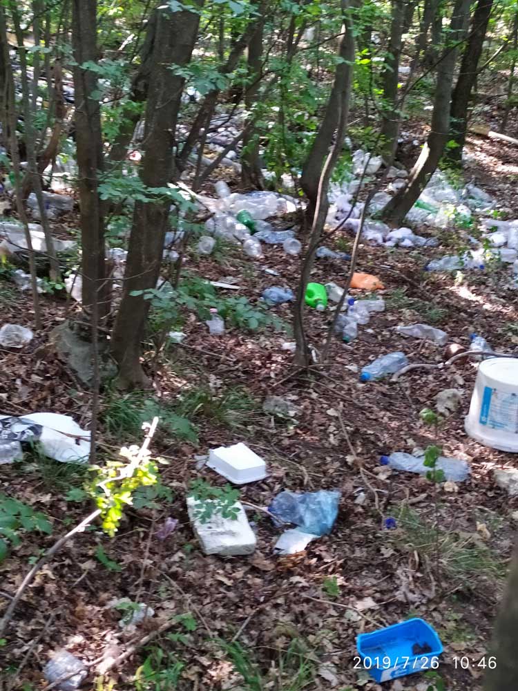 Műanyagfajták egy budapesti erdőben (korábbi óbudai bejelentés alapján).