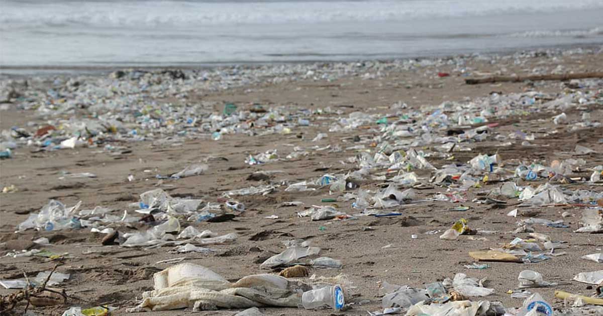 A Szubantarktikus szigeteket is elérte a műanyaghulladék és veszélybe került annak élővilága.