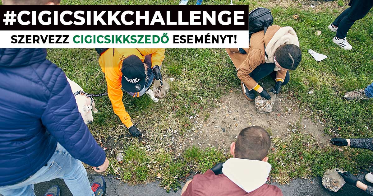 Cigicsikk challenge cigicsikkmentes magyarország